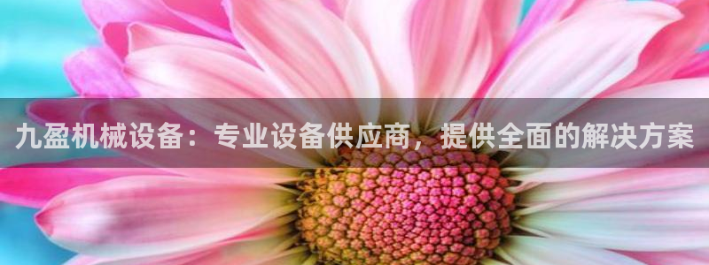 ag九游会论坛
