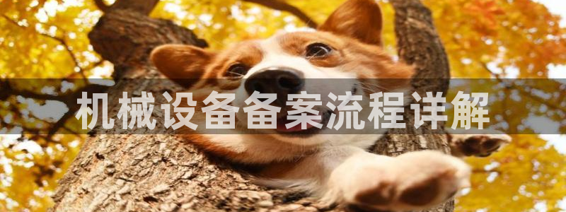 九游会平台稳定吗