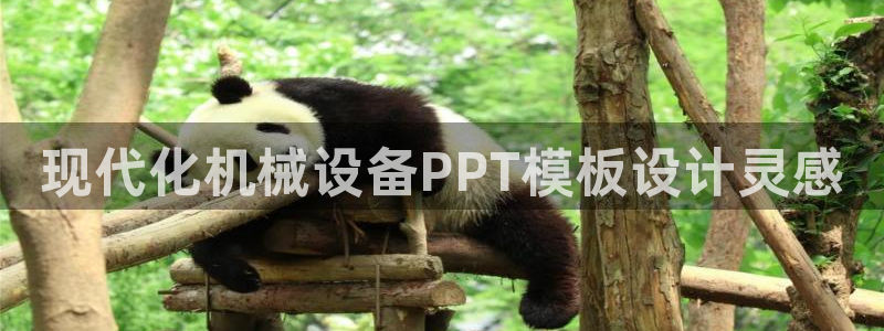 九游会官网页