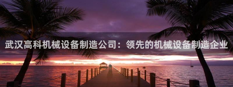 九游会是ag吗