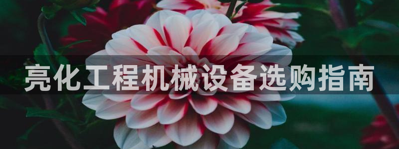 九游会线上平台