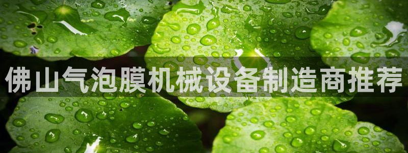 九游会ag登陆
