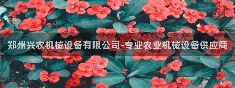 ag8九游