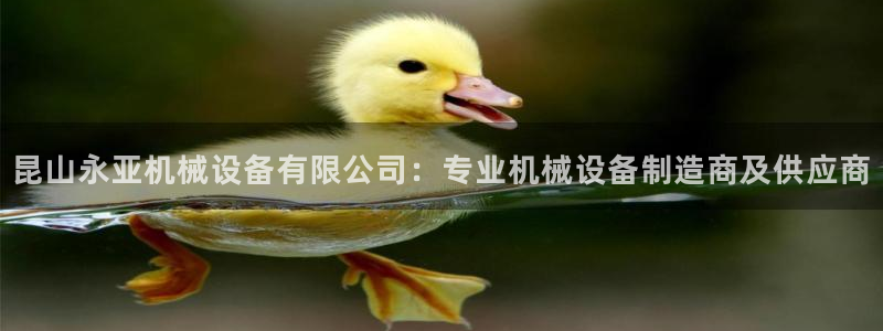 九游会集团菲律宾