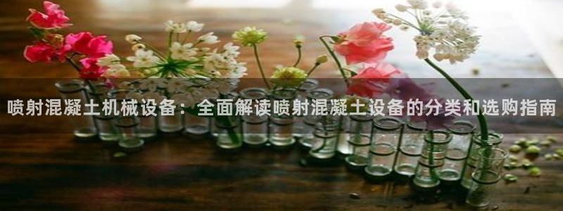j9九游会导航