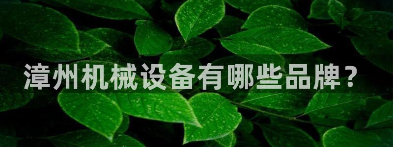 九游会亚洲唯一合作伙伴