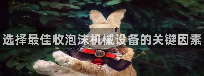 ag九游会app
