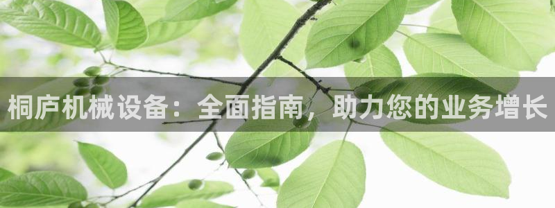 九游会中国入口嘛