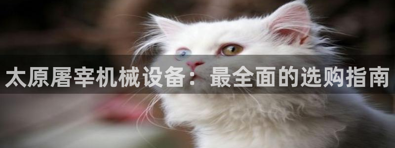 九游会官方旗舰店