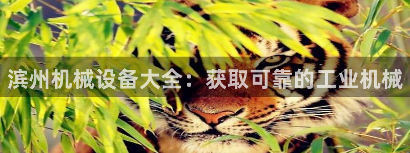 九游会官网j9