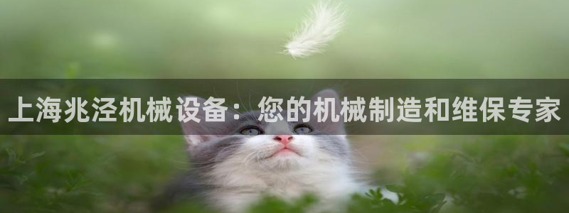 ag老队友