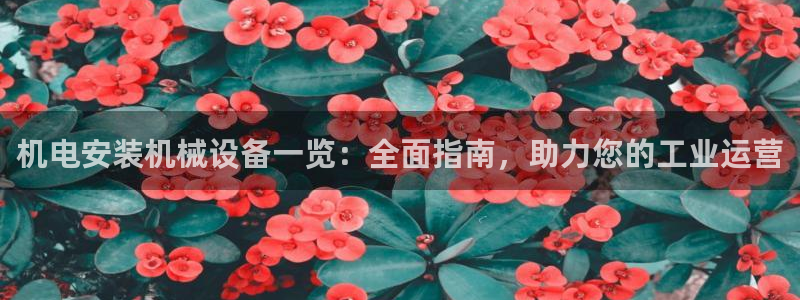 九游会官网ag旧版