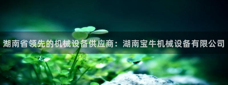 j9九游会入口j9