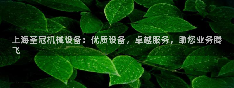 九游会ag官方网站