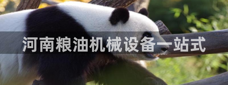 九游会老哥