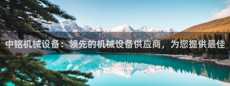 j9九游会平台信誉怎么样