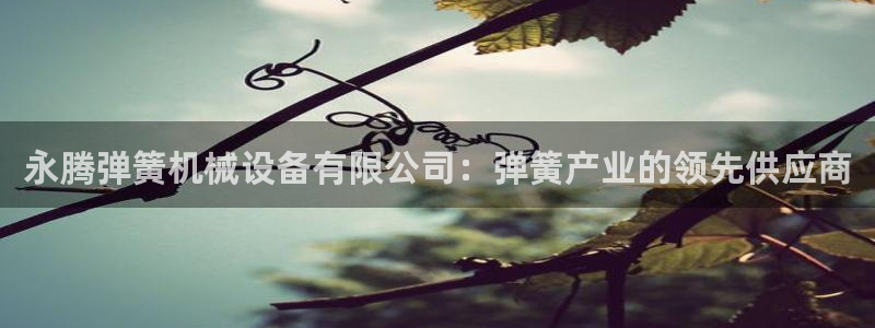 九游会是什么平台