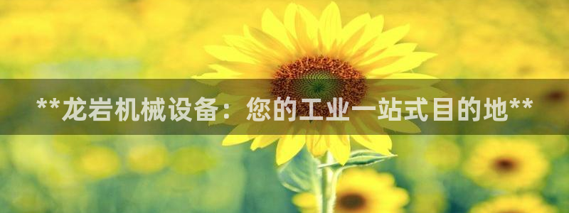 j9.cn