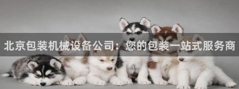 九游会AGapp下载