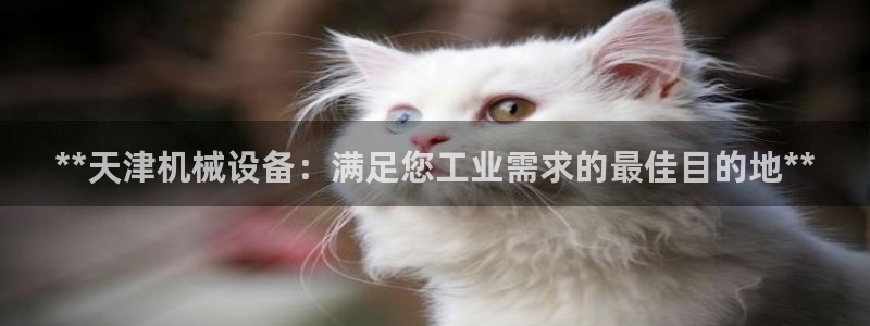 九游会官网j9j9