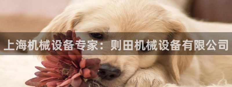 九游会在