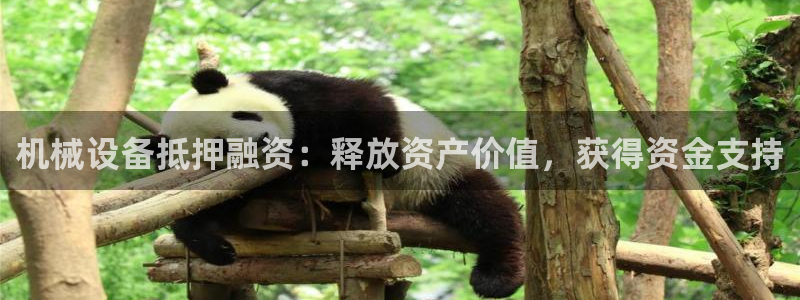 j9九游会黑网