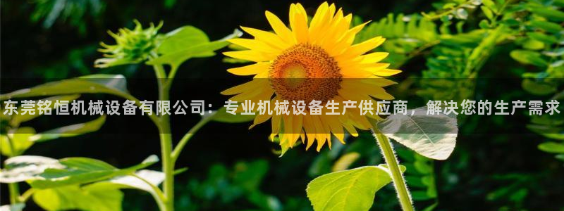 j9九游会真人手机版