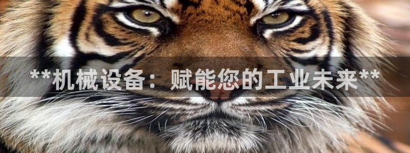 j9九游会怎么样