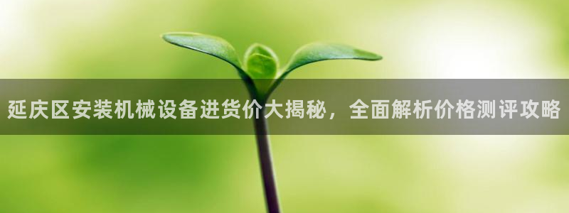 j9九游会买u多少一个