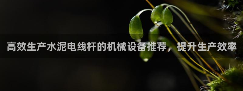 j9九游会入口j9