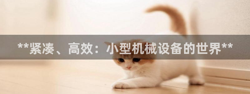 九游会官网登录入口网页首页