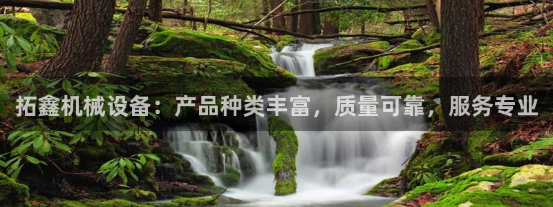 九游会官网网址是多少