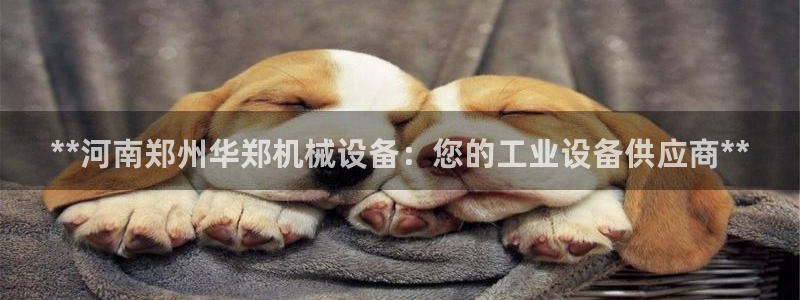 ag改名九游会