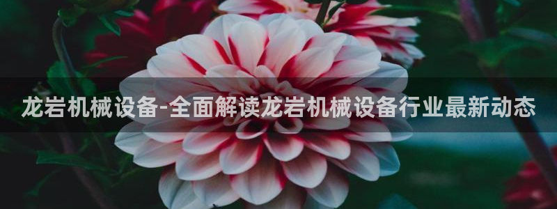登陆九游会