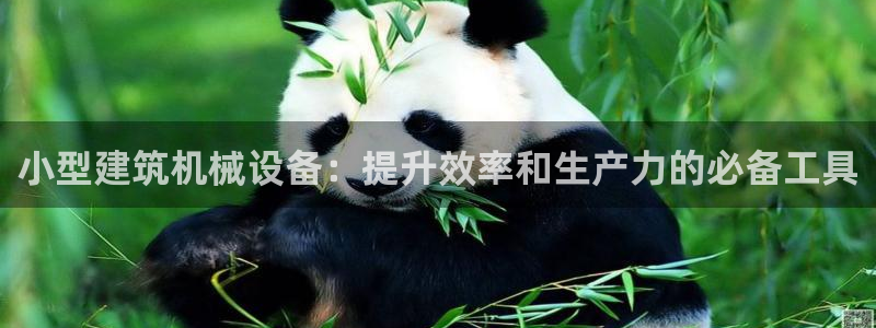 九游会官网入口ag亚洲