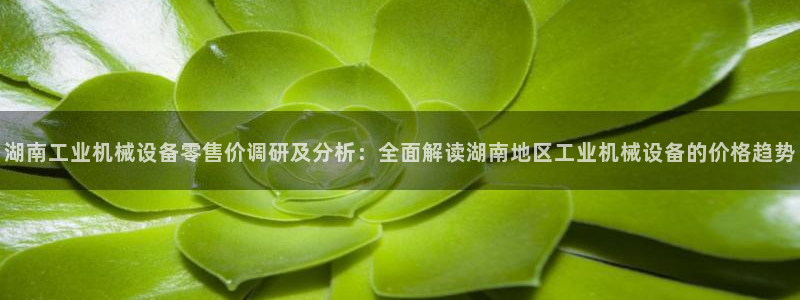 九游会进入