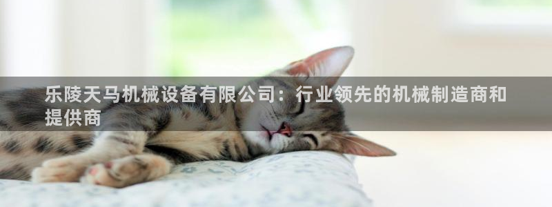 九游会是不是黑网