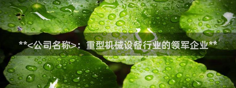 九游会usdt