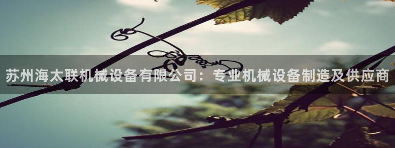 九游会官网老哥俱乐部