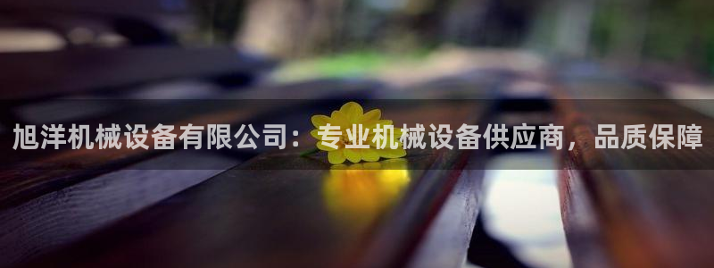 九游会怎么了：旭洋机