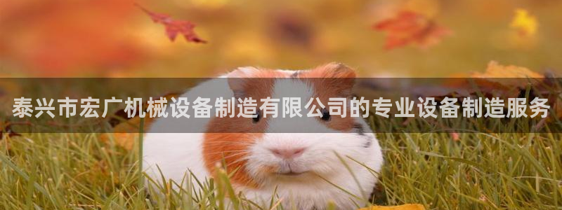 九游会官方正版下载：
