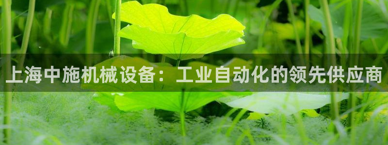 九游会官方在线