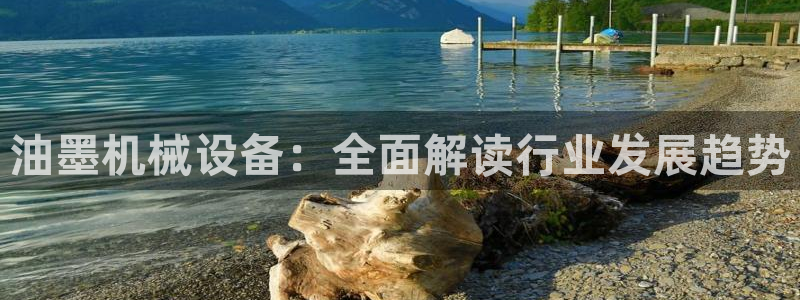 9游会app