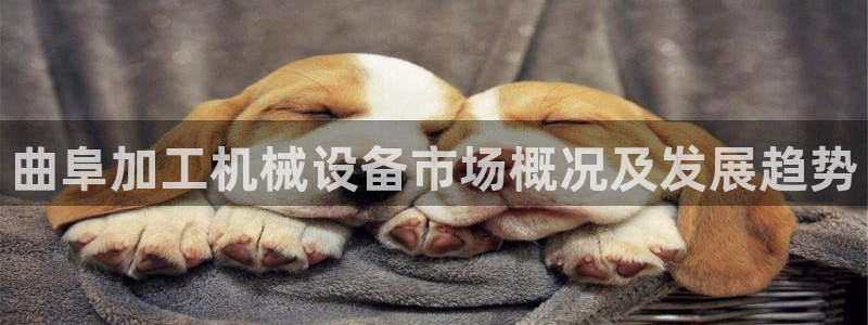 九游会老哥必备的俱乐部交流区论坛