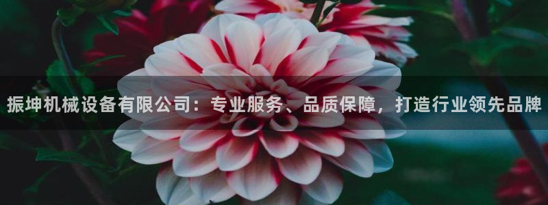 ag久游