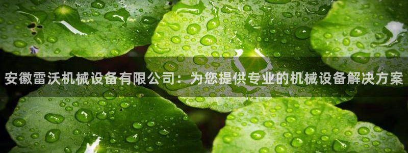 九游会 app：安徽