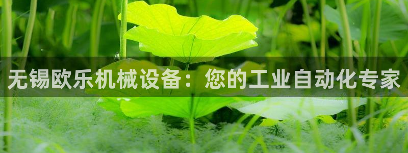 九游会官网贴吧