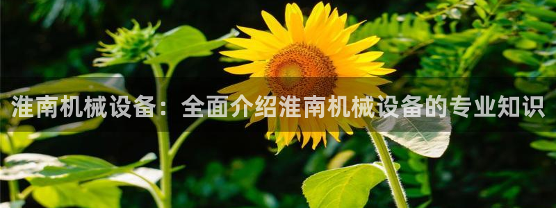 九游会官